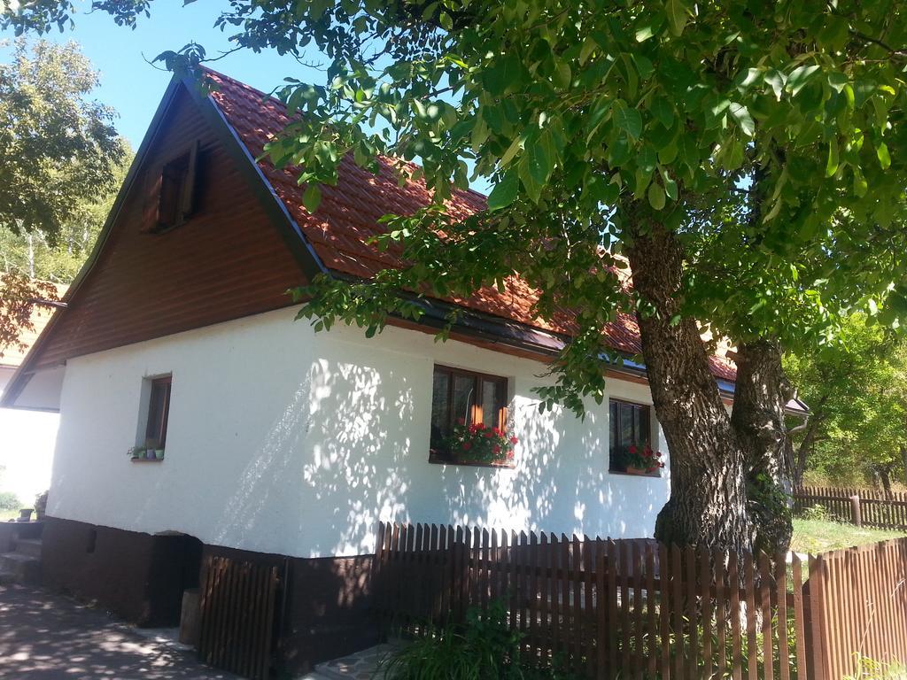 Holiday Home Rizvan City Brusane エクステリア 写真